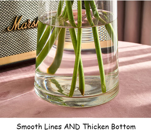 FUNSOBA Clear Glass Flower Vase with Gold Mouth for Centerpieces Home Wedding Decoration (1, Large 5.2" x 9.9œ)