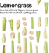 USDA Certified Organic Probiotic All Purpose Cleaning Concentrate, Lemongrass 16.9 fl. oz. - Ultra Concentrated Multi Surface Cleaner, Cleaning Spray Refill, Kitchen and Household Cleaner by SCD Probiotics (1 Pack)