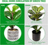 SenseYo Artificial Fiddle Leaf Fig Tree 18" Faux Ficus Lyrata in Pot Natural Fake Tree with 13 Leaves Lifelike Greenery Plant Tree Indoor Outdoor Decor for House Home Office Perfect Housewarming Gift