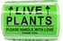 Green Live Plants Stickers for Shipping 2x3 inch Please Handle with Love Stickers Fragile Shipping Labels for Warehouse Pallet 250 pcs Live Plants Stickers per roll