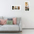 Golden State Art, 7x14 White Photo Wood Collage Frame with Mat displays (3) 4"x6" Pictures (Wood - White with White Mat)