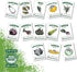 Heirloom Vegetable Seeds for Planting: 13 Varieties of Organic Non-GMO Open Pollinated Garden Seed - Weird and Rare Varieties Perfect for Kids and School Gardens