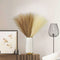 NA Faux Pampas Grass, 17.7inches Beige & Brown Artificial Grass,Fake Grass for Vase Filler (Brown & Beige),1.97*1.97*17.33