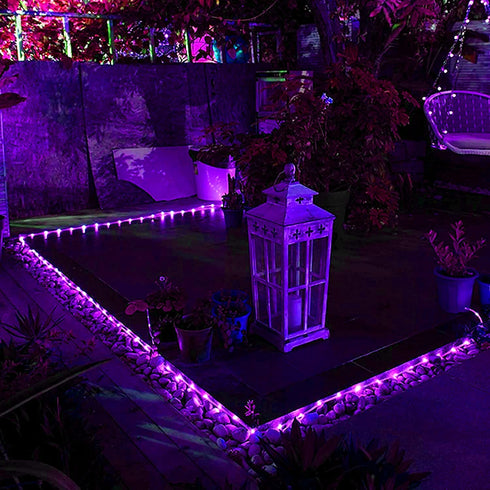 YEGUO Purple Solar Halloween Lights, 2 Pack Each 33ft 100 LED Rope Lights Outdoor Waterproof, PVC Tube Purple Fairy String Lights for Pool Balcony Tree Garden Yard Fence Party Halloween Decorations