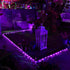 YEGUO Purple Solar Halloween Lights, 2 Pack Each 33ft 100 LED Rope Lights Outdoor Waterproof, PVC Tube Purple Fairy String Lights for Pool Balcony Tree Garden Yard Fence Party Halloween Decorations