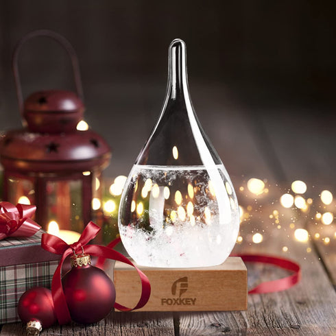 Valentines Day Gift Snow Globe Storm Glass Decorative Bottle Weather Station, with Water Globe Festival Gift For Xmas Valentines Day Anniversary Birthday Mothers Day, Office Home Tabletop Decor (S)