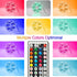 32.8ft Led Lights dalattin Led Strip Lights Color Changing Lights with 44 Keys Remote,1 Roll of 32.8ft