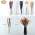 Natural Dried Pampas Grass 70Pcs, Include 20Pcs Brown Pampas 20 Pcs White and Black Pampas 10Pcs Fluffy Bunny Grass 20Pcs Reed Grass 17Inch Boho Flower Arrangements Pompous Bouquet Fall Home Decor