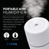 Treva Portable Mini Humidifier 150 ml Capacity, Cool Mist Ultrasonic Humidifier with Colored Light, USB Powered, Whisper Quiet with 2 Misting Modes