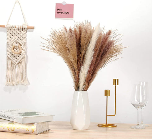 ManYmbyan Natural Dried Pampas Grass 65pcs 15pcs White&15pcs Brown&35pcs Reed Grass Plumes Decor Flower Arrangement and Vase Fillings