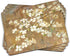 Pimpernel Dogwood in Spring Collection Placemats - Set of 4