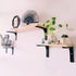 Floating Shelf Brackets,6 x 5 Inch Wall Mounted Industrial Black Metal Shelf Hardware, Shelf Support Angle L Brackets for Shelves,8 Pack