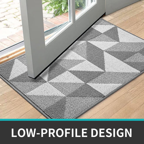 DEXI Indoor Doormat, Non Slip Absorbent Resist Dirt Entrance Rug, 20x32 Machine Washable Low-Profile Inside Floor Door Mat