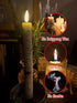 Homemory 3 Pcs Birch LED Taper Candles with Timer, Real Wax Battery Operated Window Candles with Remote, 9.6 Inches Flameless Flickering Candlesticks for Fireplace Christmas Halloween Wedding