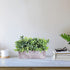 Artificial Grey Green Eucalyptus Plant in Rustic Rectangular Wooden Planter Box Faux Potted Herb Plant Greenery Arrangement for Farmhouse Indoor Wedding Table Centerpiece Mantel Shelf Kitchen Decor