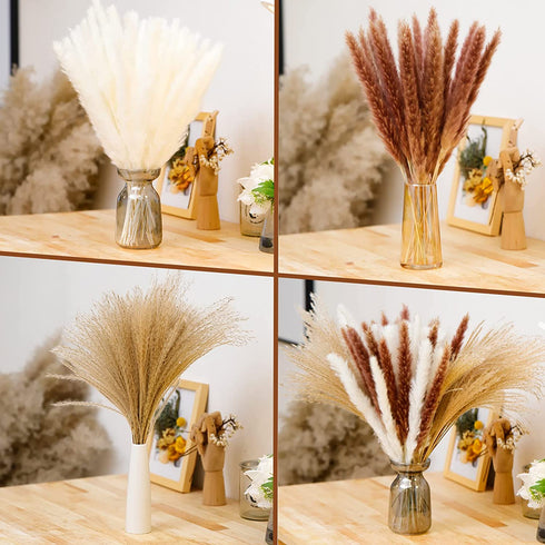 Pampas Grass, 65Pcs Natural Dried Pampas Grass Decor With 20Pcs Cream White Pampas Grass& 20Pcs Brown Pampas&25Pcs Pompous Grass,17.5"Bouquet For Dried Flowers Decor And Flower Arrangements Home Decor