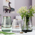 VanEnjoy 7 inch Clear Simple Glass Flower Vase, Decorative Gilded Rim Vase Home Decor for Indoor Centerpiece