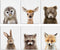 Baby Animal Posters and Prints - EPHANY ART - Rabbite Deer Fox Canvas Painting Nursery Pig Wall Art, Piglet Print Wall Art Nordic Picture Kids Room Decoration YMX014 (8"x10"(20x25cm))