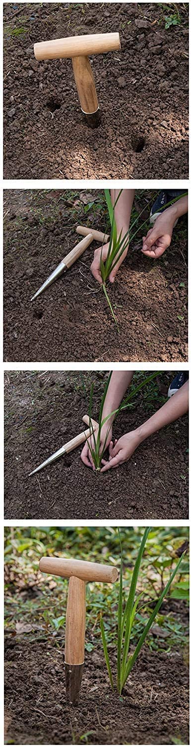 Gardtech Hand Dibber with Wooden Handle, Chrome Coated Stainless Steel Head - Lightweight Sturdy Hand Held Bulb Planter for Tulip Daffodil Crocus Garden Tool (Dibber)