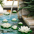 8Pcs Artificial Floating Lotus Decor with Lily Pad, Ivory White Plastic Foam Lotus Flowers with Water Lily Pad, Realistic Lotus Flower for Garden Koi Fish Pond Aquarium Pool Wedding Decor
