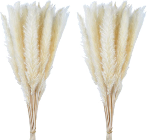 60 Pcs Pampas Grass 18? ,Dried Pompous Grass Pompass Branches for Vase Flower Arrangement Wedding Kitchen Home Decor?White?