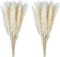 60 Pcs Pampas Grass 18? ,Dried Pompous Grass Pompass Branches for Vase Flower Arrangement Wedding Kitchen Home Decor?White?