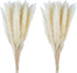 60 Pcs Pampas Grass 18? ,Dried Pompous Grass Pompass Branches for Vase Flower Arrangement Wedding Kitchen Home Decor?White?