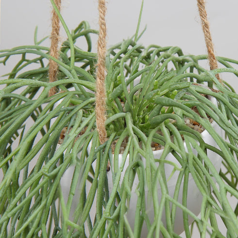 Artificial Hanging Plants Fake Greenery Succulent Potted Plant Ceramic Planter for Home Wall Indoor Outdoor Decor
