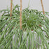 Artificial Hanging Plants Fake Greenery Succulent Potted Plant Ceramic Planter for Home Wall Indoor Outdoor Decor
