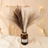 60pcs Natural Dried Pampas Grass,20 Pcs White Pampas & 20 Pcs Brown Pampas & 20 Pcs Reed Grass Boho Decor Wedding Decorations Flower Arrangements Home Decor