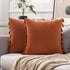 MIULEE Pack of 2 Velvet Soft Solid Decorative Throw Pillow Cover with Tassels Fringe Boho Accent Cushion Case for Couch Sofa Bed 20 x 20 Inch Orange