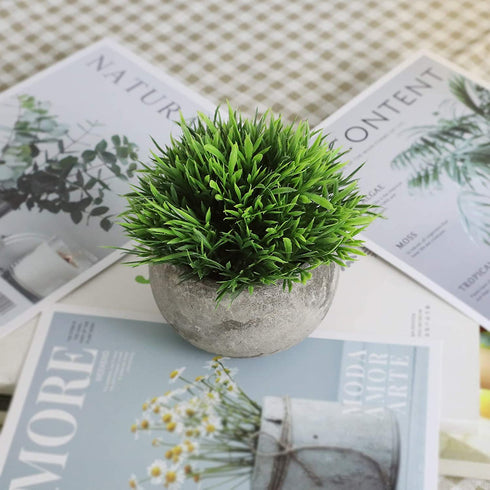 THE BLOOM TIMES 2 Pcs Fake Plants for Bathroom/Home Office Decor, Small Artificial Faux Greenery for House Decorations (Potted Plants)