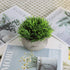 THE BLOOM TIMES 2 Pcs Fake Plants for Bathroom/Home Office Decor, Small Artificial Faux Greenery for House Decorations (Potted Plants)
