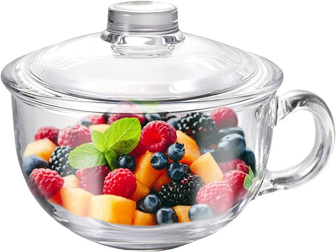 Glass Cereal Bowl Glass Soup Bowl with Handle , Clear Small Bowls with Glass Lid Oatmeal Breakfast Bowls Microwave Safe Glassware Yogurt Bowl for Dessert Pasta Rice,600ml/20 oz