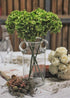 High Details Hydrangea Silk Flowers (About 225 Petals Each Flower), Artificial Hydrangea Flowers, Green Silk Hydrangea Flowers Pack of 4 (Green)