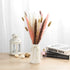 Natural Dried Bunny Tail Grass - 110~120 Stems Rabbit Tail Grass, Lagurus Ovatus for Boho Decor, Dried Pampas Grass Flower Arrangements Wedding Home Kitchen Office Decor (Nature)