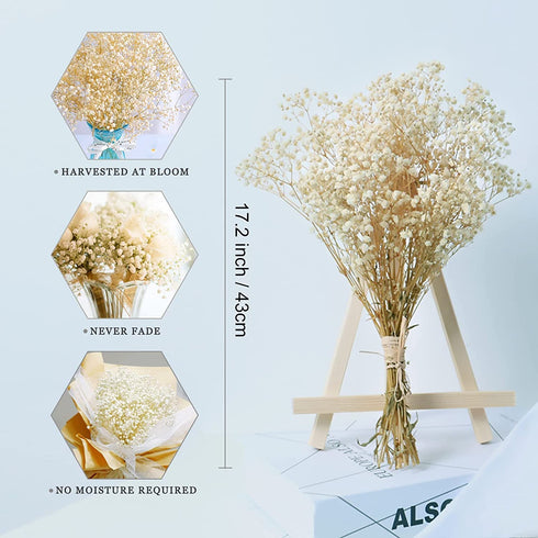 Dried-Flowers-Babys-Breath-Bouquet-17.2 inch 1500+ Ivory White Flowers, Natural Gypsophila Branches for Home Decor, Wedding, Table Vase Decor, Dried Flowers for Vase,Dry Flowers