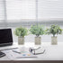 ODOM Artificial Plants, 3Pcs Small Fake Plants for Bedroom Aesthetic, Faux Eucalyptus Plants for Office Desk Bathroom Farmhouse Home Decorations