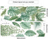 Aeemyonw Palm Leaf Wall Stickers Green Plants Wall Decor Jungle Leaf Wall Posters Wall Stickers Art Murals for Bedroom Living Room Home Decoration