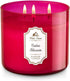 White Barn 3 Wick Candle 14.5 Ounce, Cactus Blossom