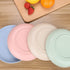 8.8 Inches Unbreakable Wheat Straw Plates - Reusable Plate Set - Dishwasher & Microwave Safe - Perfect for Dinner Dishes - Healthy for Kids Children & Adult, BPA Free & Eco-Friendly (8.8 Inches)