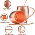 Moscow Mule Copper Mugs, Beer Glasses, Gift Set of 2, 16 oz, Food Safe HandCrafted Hammered Mug Pure Solid Copper Beer Mugs Wine Tumbler Cups, xmas Gift Set With 2 Cocktail Copper Straws