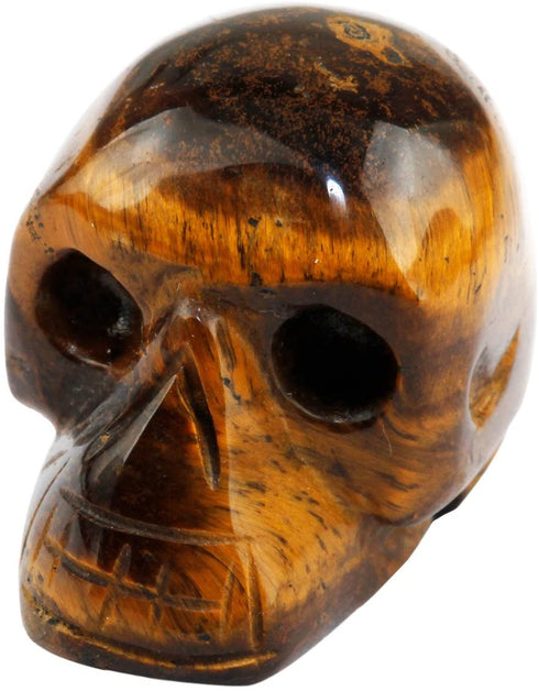 mookaitedecor 1 Inch Assorted Crystal Skull Sculpture Set of 5, Hand Carved Gemstone Statue Figurine Collectible Healing Reiki