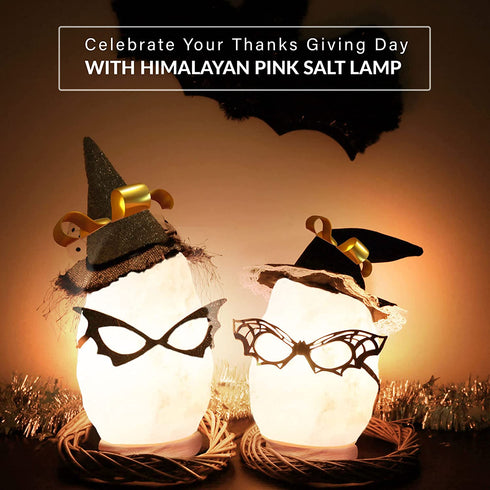 Himalayan Glow Hand Crafted White Salt Lamp, Night Light