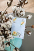 WILLOWBROOK Fresh Scents Scented Sachets - White Cotton