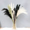 Black Dried Pampas Grass White Pampas Grass Plants D©cor Boho Artificial Pampas Grass Branches for Wedding Flower Arrangements Home D©cor