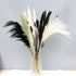 Black Dried Pampas Grass White Pampas Grass Plants D©cor Boho Artificial Pampas Grass Branches for Wedding Flower Arrangements Home D©cor