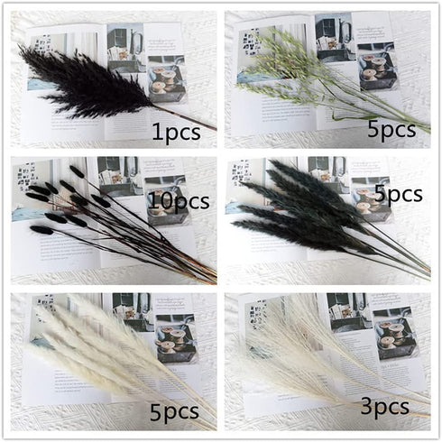 Black Dried Pampas Grass White Pampas Grass Plants D©cor Boho Artificial Pampas Grass Branches for Wedding Flower Arrangements Home D©cor
