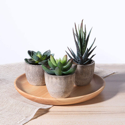 OUNONA 3pcs Faux Succulents/Artificial Cactus/Simulation Cacti Potted Plants Home Bonsai Decor Garden Greenery