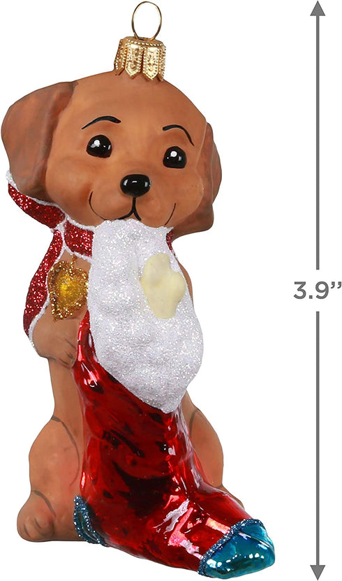 Hallmark Keepsake Christmas Ornament 2020, Adorable Dachshund, Blown Glass